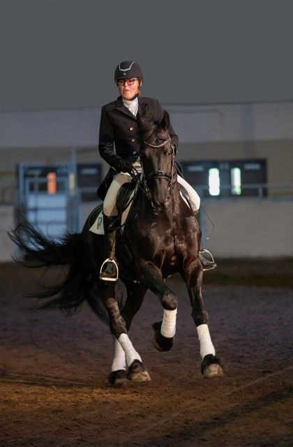 From Recreational to Elite: Can it be Done with a Friesian? - Fhana